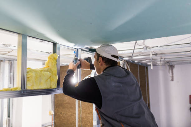 Best Insulation for Specific Applications in Dover, DE