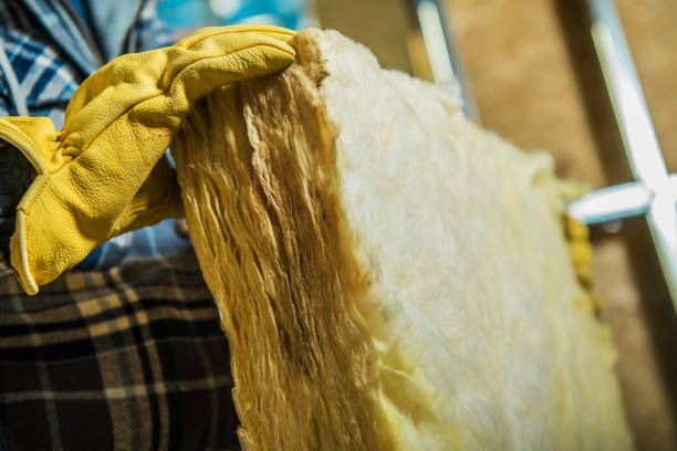 Best Geographic-Specific Insulation Services in Dover, DE