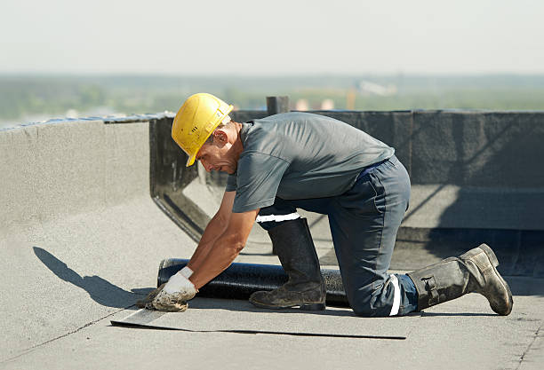 Best Specialized Insulation Services in Dover, DE